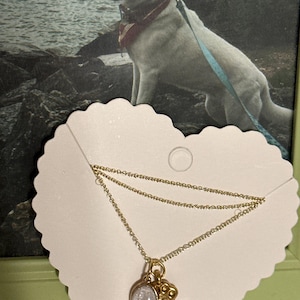 Kylie added a photo of their purchase
