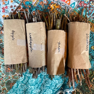 Jeannie added a photo of their purchase