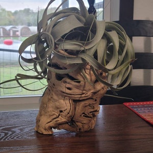 Missy added a photo of their purchase
