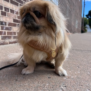 Futtitinni added a photo of their purchase