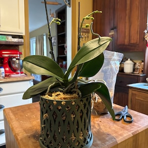 Shawnee added a photo of their purchase