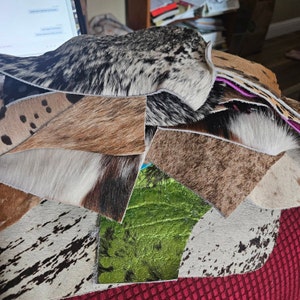 Renee added a photo of their purchase