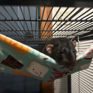 Comprador de Etsy ha añadido una foto de su compra
