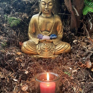 Jim added a photo of their purchase