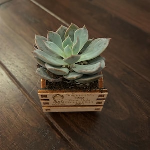agata added a photo of their purchase