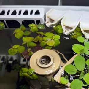 S hat ein Foto des gekauften Artikels hinzugefügt