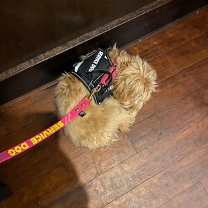 Libby added a photo of their purchase