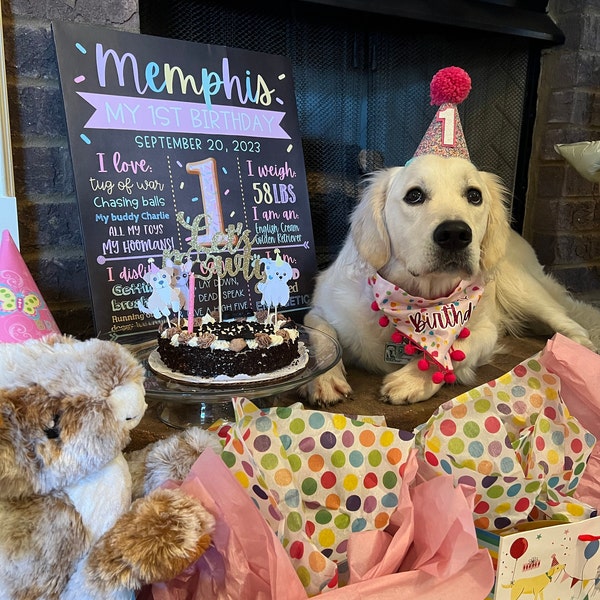 Dog First Birthday Sign Puppy 1st Birthday Poster Puppy First Iap 600x600.5361137629 Lcn3hgf3 