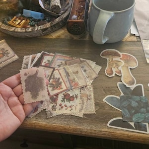 Yekaterina added a photo of their purchase
