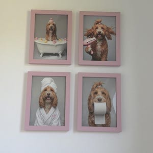 Jaunty added a photo of their purchase