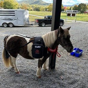 Stacie added a photo of their purchase