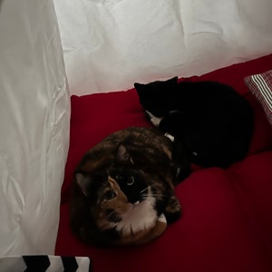 KBean added a photo of their purchase