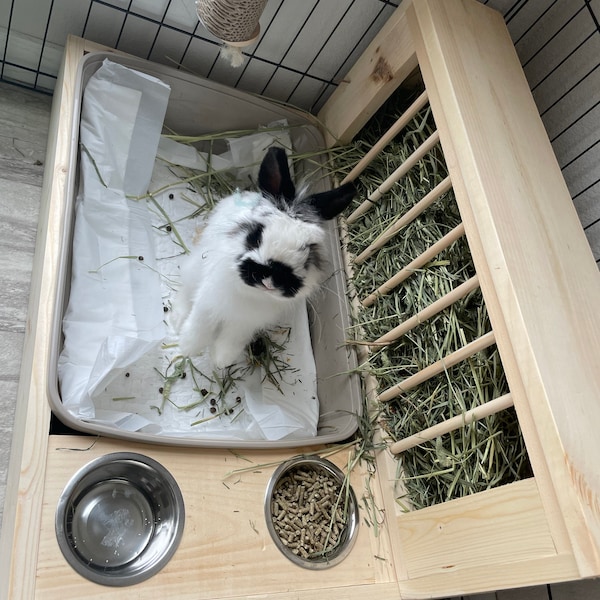 Medium W/ Side Bowls - Hop Box: Rabbit Bunny Hay Feeder and Litter Pan ...