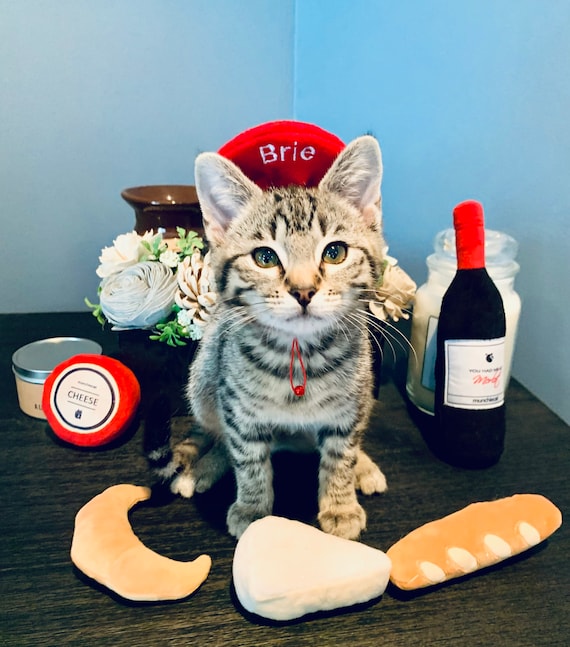 Customer photo of a pet with the Beret Personalized for small pet Raspberry