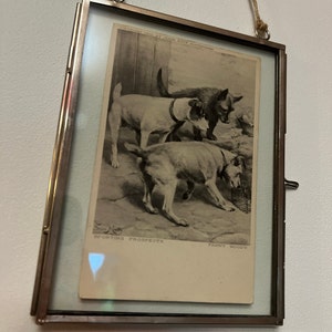 ashleymalice ha aggiunto una foto del proprio acquisto