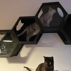 Neori added a photo of their purchase