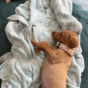 Alice added a photo of their purchase