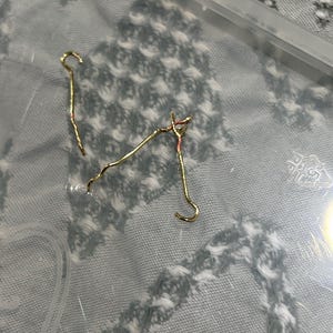 Teresa added a photo of their purchase