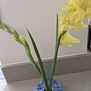 karla added a photo of their purchase