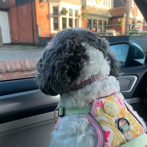 Gemma added a photo of their purchase