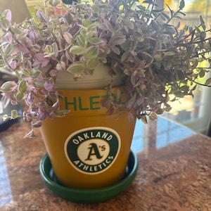 Veronica added a photo of their purchase