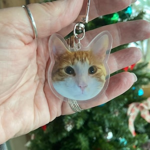Mare added a photo of their purchase