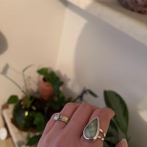 Torrie added a photo of their purchase