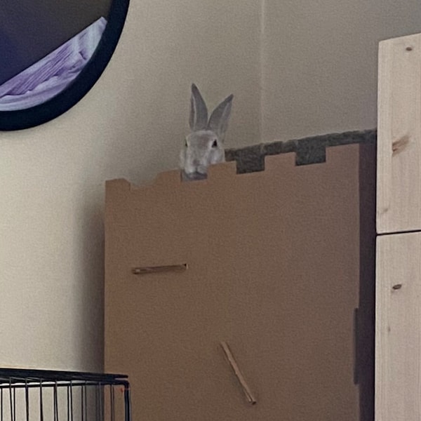 The Castle - Corrugated Cardboard Castle for Bunny Rabbits & Cats - Etsy UK