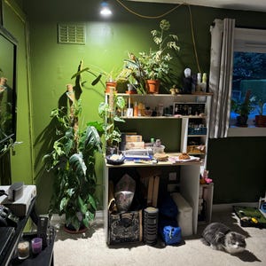Lu added a photo of their purchase
