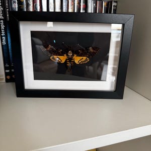 Miguel ha añadido una foto de su compra