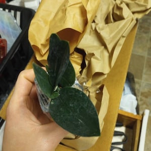 Jon added a photo of their purchase