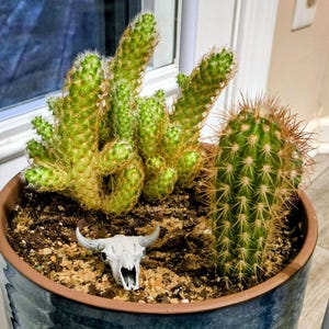 Chris added a photo of their purchase