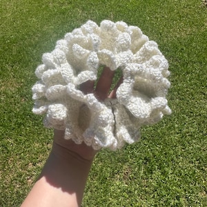 Genevieve added a photo of their purchase