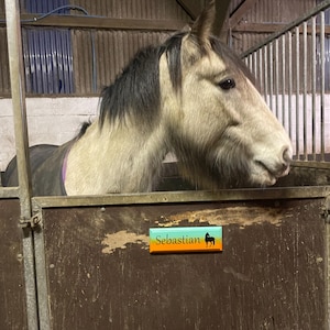 Tess added a photo of their purchase