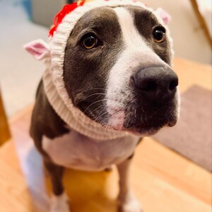 Matt added a photo of their purchase