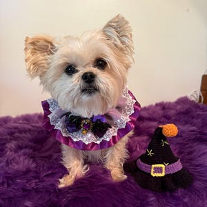 Brandi ha añadido una foto de su compra
