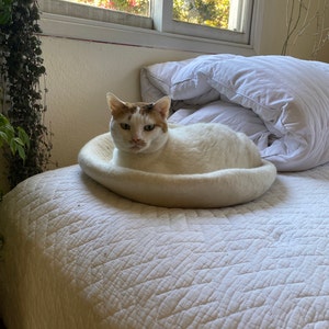 Whitney added a photo of their purchase