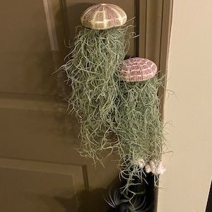 megs added a photo of their purchase