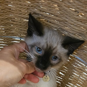 Acheteur Etsy a ajouté une photo de son achat