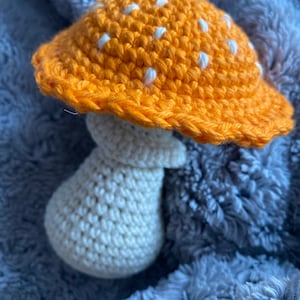 Isabella added a photo of their purchase