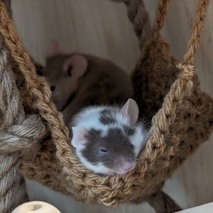 Emours Small Animal Hammock Hamster House Hanging Bed Cage Toys For Mice Rats Ferret Chinchilla And More, Brown - Online Marketplace