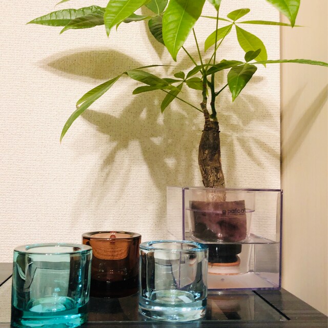 イッタラ: One Purple KIVI Votive、マリメッコプロデュース - Etsy 日本