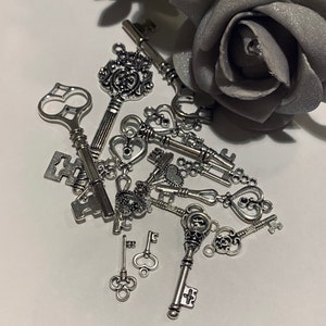 Jessie added a photo of their purchase