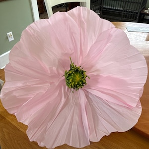Cyndi added a photo of their purchase