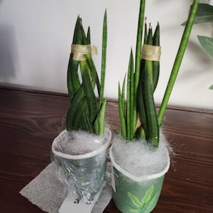 J added a photo of their purchase