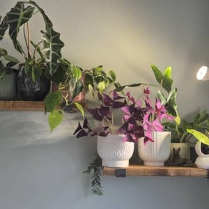naomi さんが購入した商品の写真を追加しました