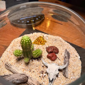 Noe added a photo of their purchase