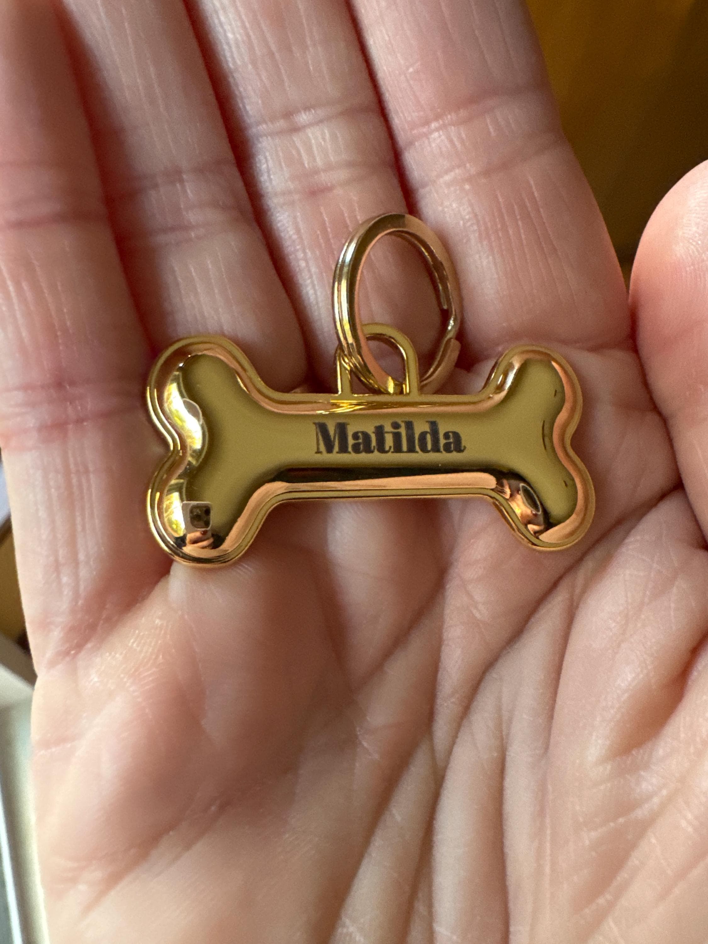 Cute Dog Tag 3D Personalized Name Pet ID Tag, Custimizable Engraved Dog ID Tag, Dog Collar Tag, Custom Dog Name Tag Cat Tag