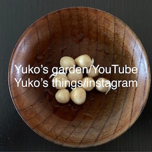 Yuko added a photo of their purchase