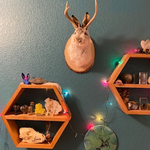 Lori added a photo of their purchase